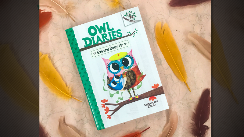 Owl cheap diaries 10